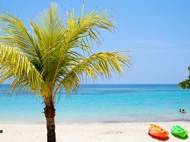 Circuitos por Roatán