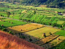 Circuitos por Rumanía organizados por agencias expertas