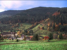 Berna, Interlaken, Zermatt, Friburgo, Ginebra, Zúrich y Lucerna - 3 cenas incluidas