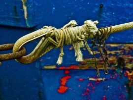 Circuitos por Tarragona organizados por agencias expertas