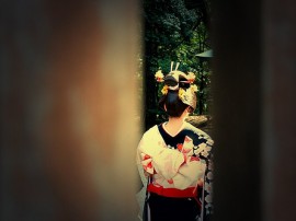 Circuitos por Tokio organizados por agencias expertas