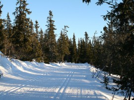 Circuitos por Trysil organizados por agencias expertas