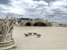 Circuitos por Túnez organizados por agencias expertas