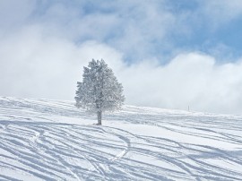 Rutas por Vail que ya no están disponibles