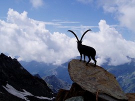 Rutas por Valle d Aosta que ya no están disponibles