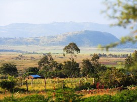 Circuitos por Valle del Rift organizados por agencias expertas