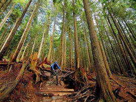 Rutas por Vancouver que ya no están disponibles