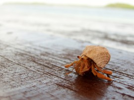 Rutas por Varadero que ya no están disponibles