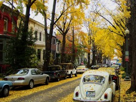 Rutas por Washington DC que ya no están disponibles