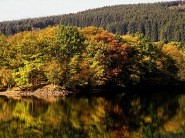 Circuitos por Westfalia organizados por agencias expertas