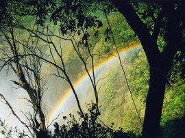 Circuitos por Zambia y Zimbabue organizados por agencias expertas