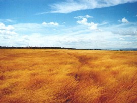 Rutas por Zamora que ya no están disponibles