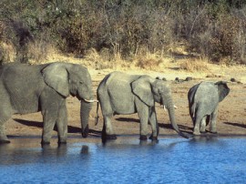 Rutas por Zimbabue que ya no están disponibles