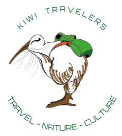 Kiwi Travelers